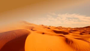 Concerto primo novembre